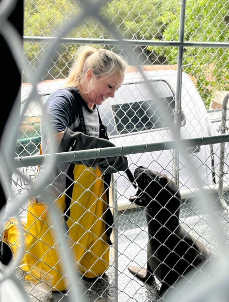 Tara Ellison volunteers at the California Wildlife Center.