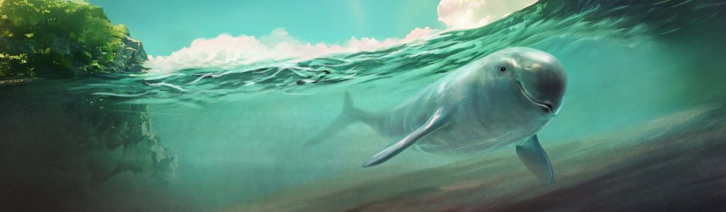 Endless porpoise painting